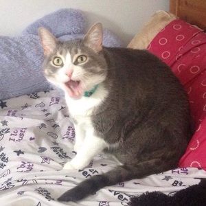 Meet your Posher, Marisol